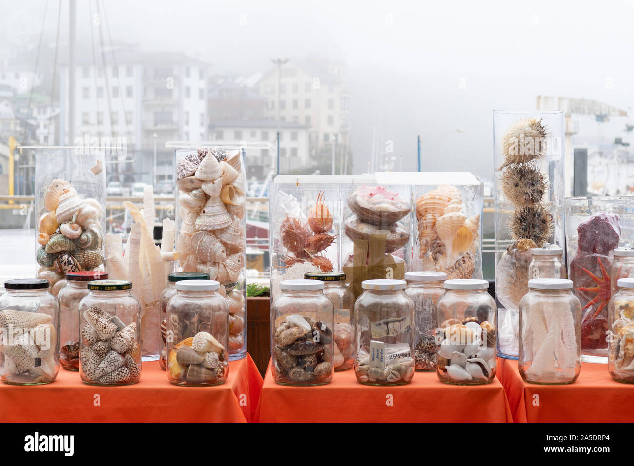 Le commerce des coquillages - coquillages à vendre dans la ville de Luarca, Asturias, Espagne, Europe Banque D'Images
