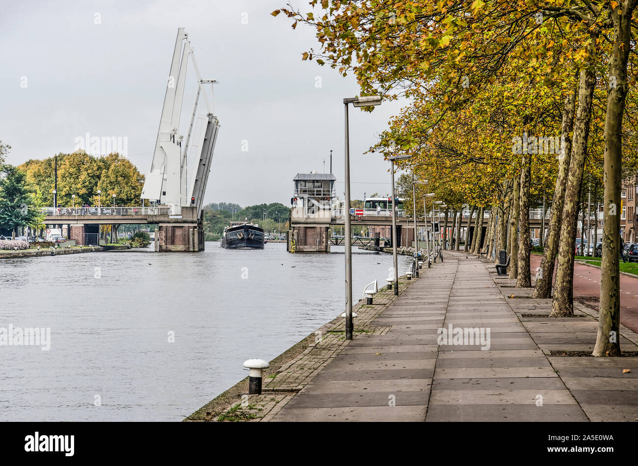 Rotterdam, Pays-Bas, octobre 14, 2019 Avis : le long du quai, bordée de platanes, de Delfshavense Schie river, avec en arrière-plan Mathene Banque D'Images