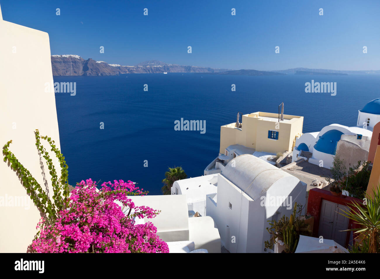 Des fleurs colorées à Oia avec vue sur le bord du cratère avec les villes d'Imerovigli et Fira à Santorini. Banque D'Images