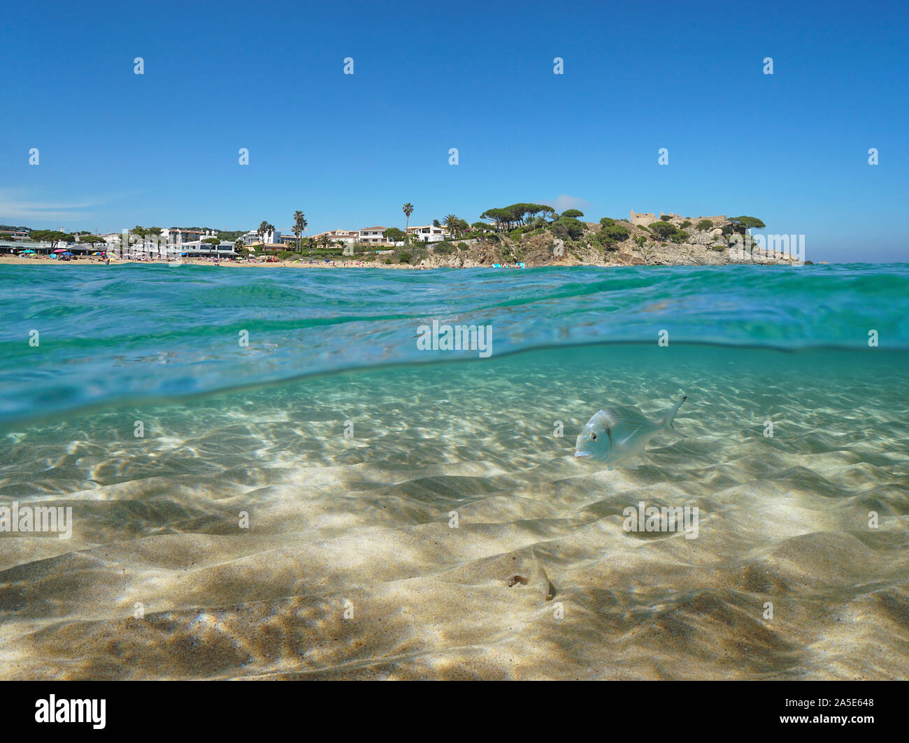 Espagne Costa Brava, la côte méditerranéenne près de Palamos ville avec du sable et de la mer poisson sous l'eau, vue fractionnée sur et sous la surface de l'eau, Catalogne Banque D'Images