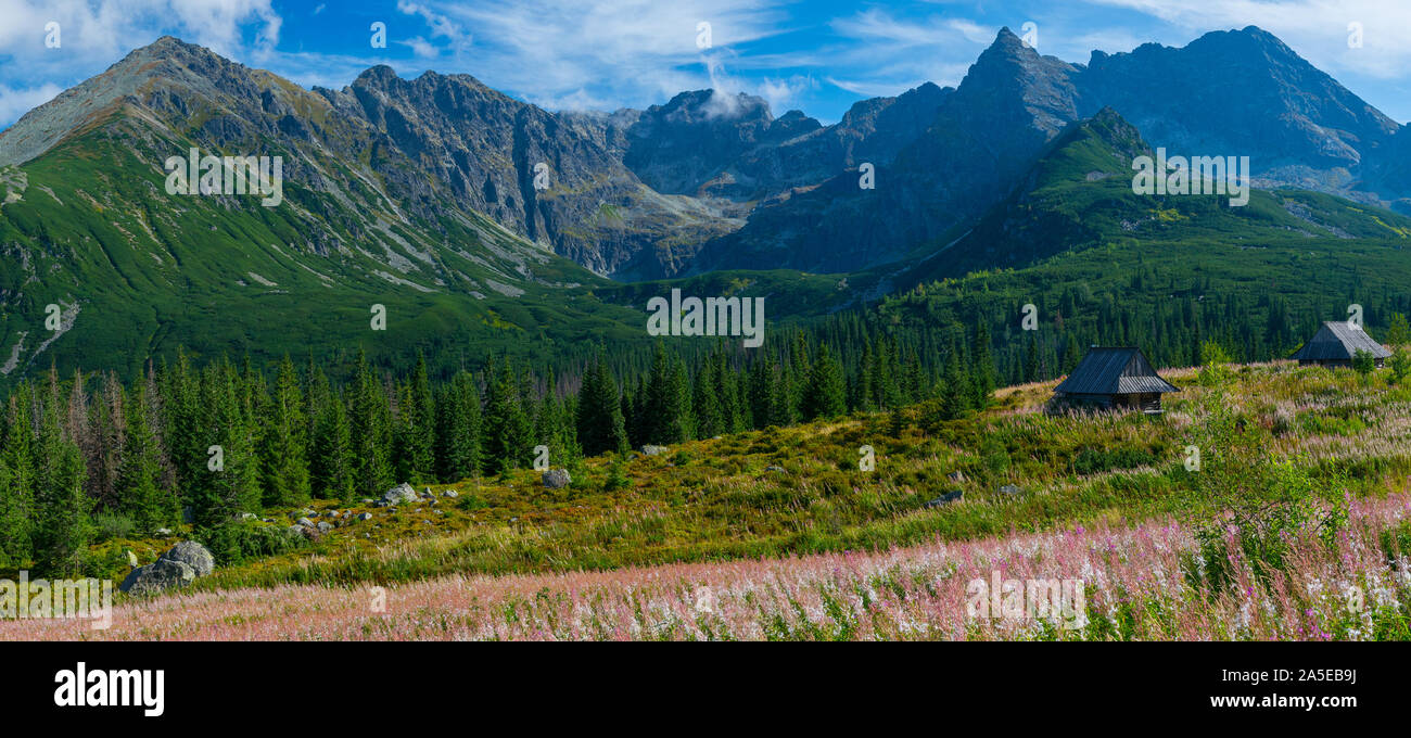 Montagnes Tatra, Hala Gasieniowa - Pologne Banque D'Images