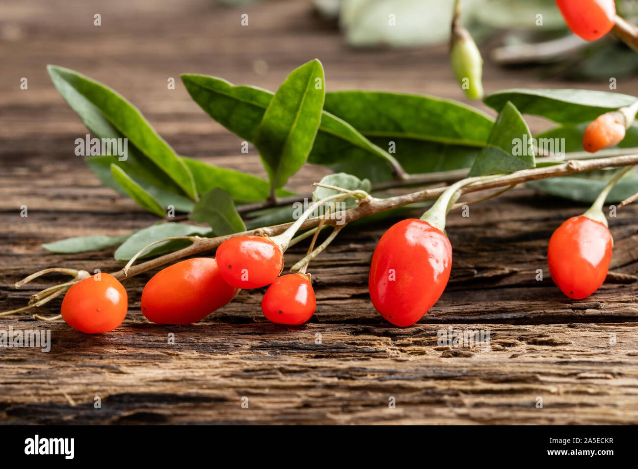 Une branche avec des baies de goji sur une table Banque D'Images