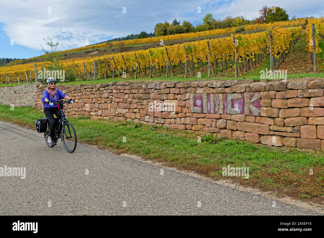 HUNAWIHR, FRANCE, 13 Octobre 2019 : une femme est le vélo sur une petite route qui serpente à travers le vignoble d'Alsace. Banque D'Images