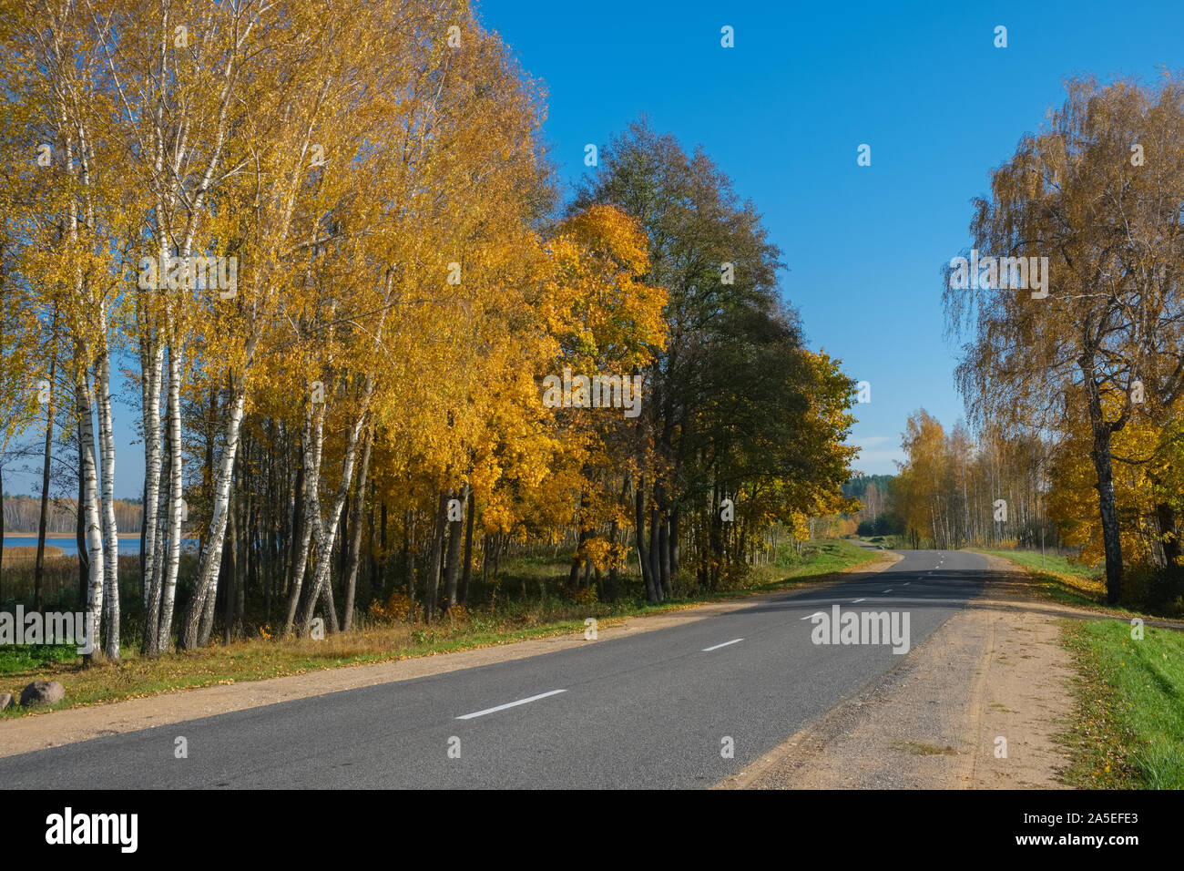 Scène d'automne avec road dans la forêt près du lac. Le Bélarus, Braslav. Banque D'Images