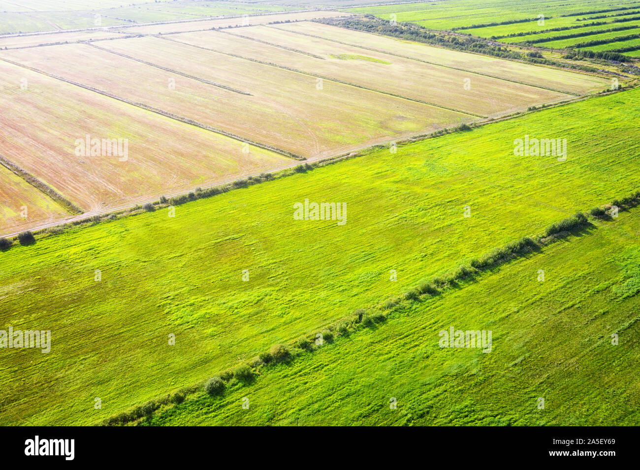 Paysage avec des champs agricoles. Vue aérienne Banque D'Images