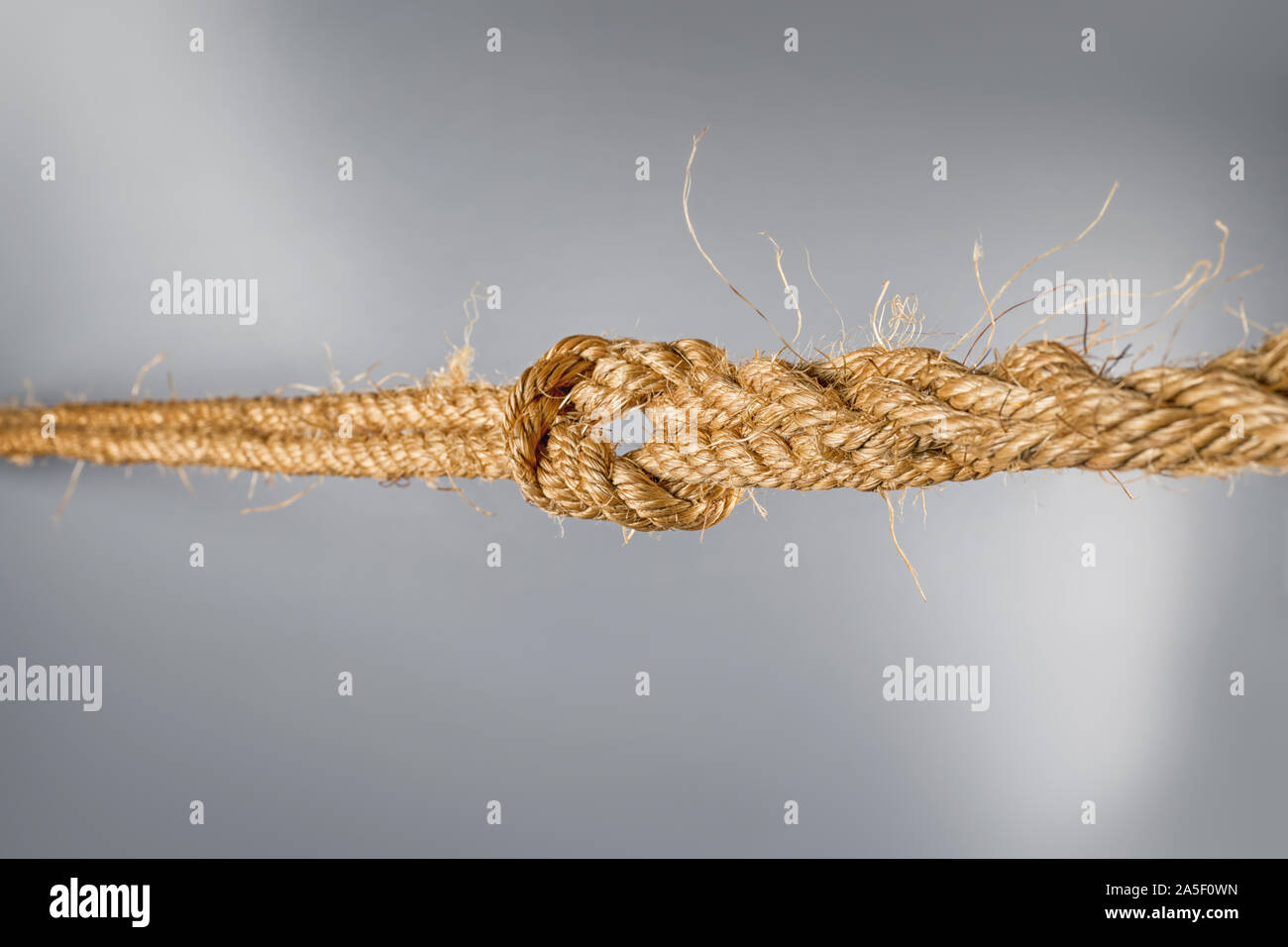 Les cordes solides reliés par des nœuds liés sur fond gris. Selective focus Banque D'Images