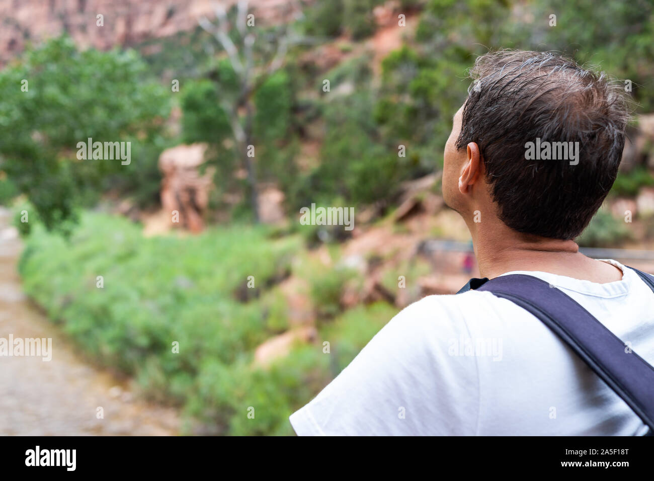 Zion National Park en Utah avec l'homme hiker looking at view de Virgin River l'eau avec des plantes arbres verts à partir de pont près de début de Angel's Landing trai Banque D'Images