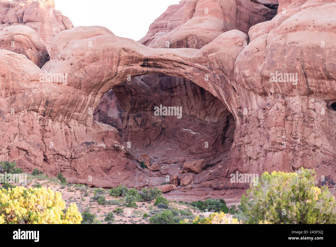 Dans l'arcade Double Arches National Park dans l'Utah pendant morning sunrise avec rose rouge couleur rock et de formation unique Banque D'Images