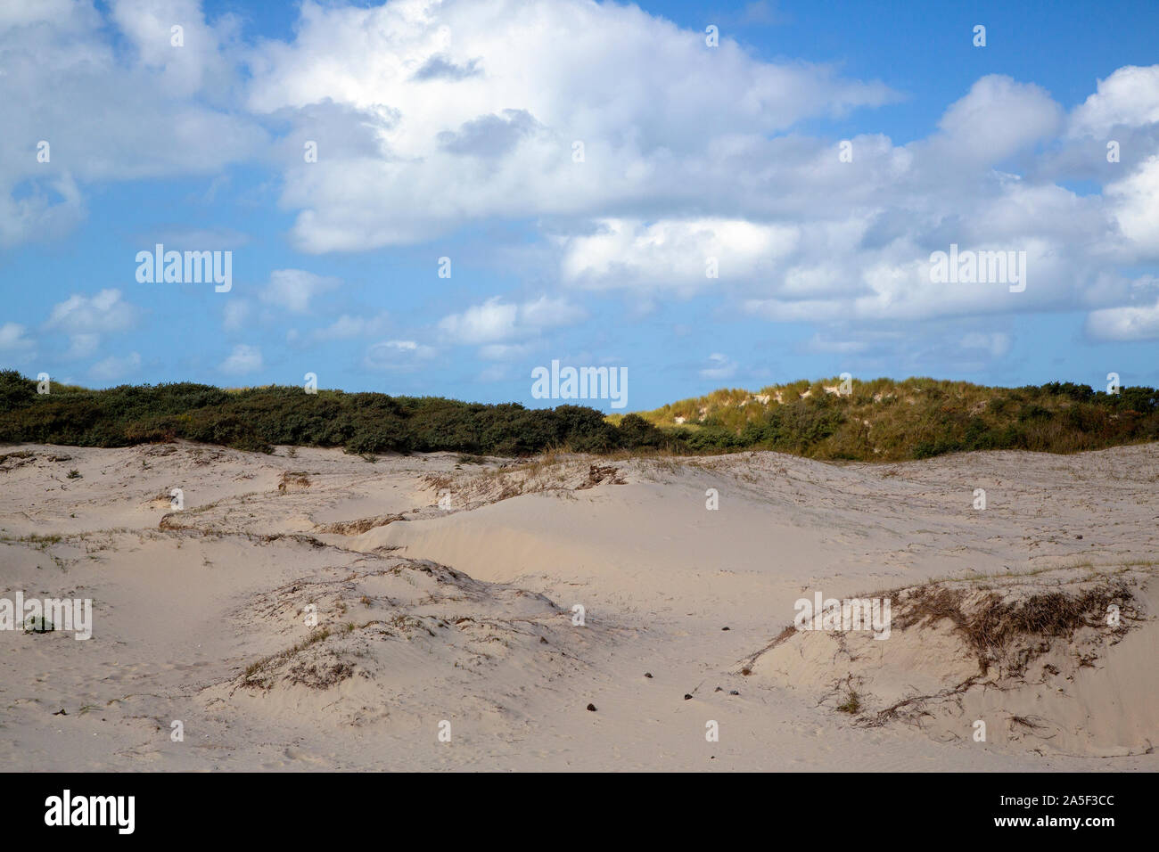 La dérive du sable des dunes en néerlandais, Zélande, Pays-Bas Banque D'Images