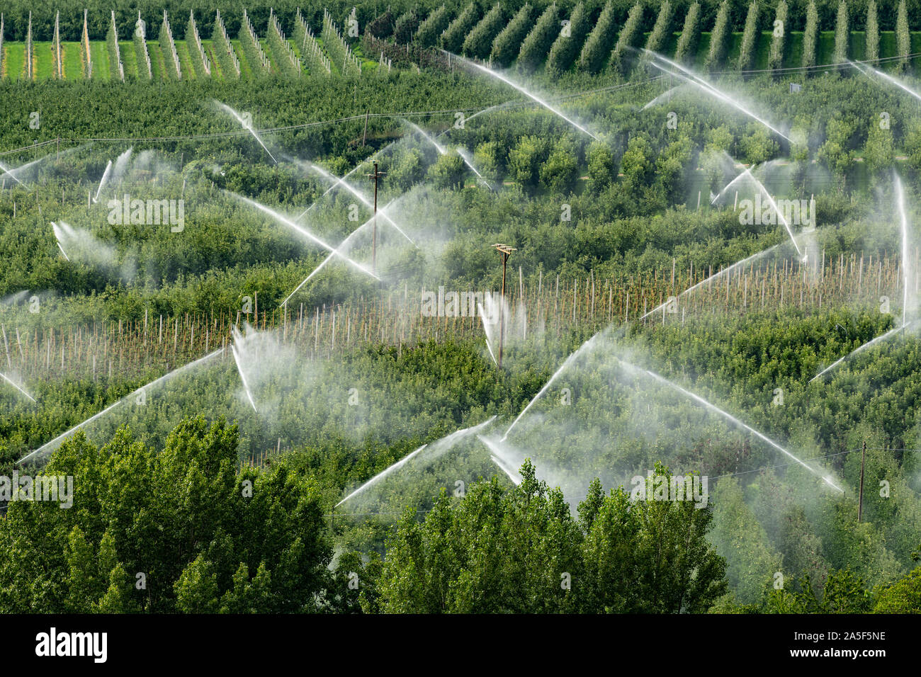 L'irrigation des vergers en Italie (Schlanders, Tyrol du Sud) sur une journée ensoleillée en été Banque D'Images
