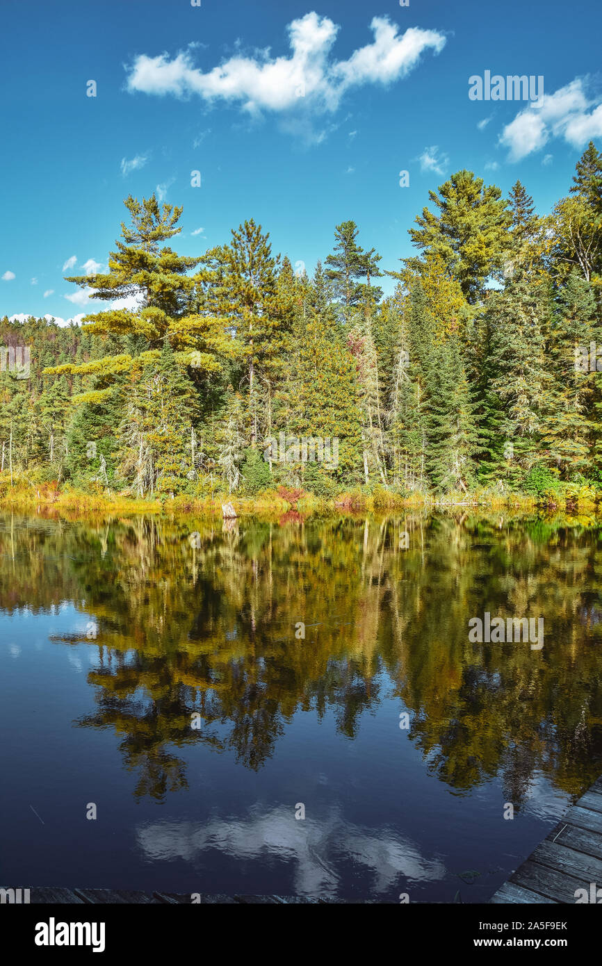 Paysage de forêt d'automne et de réflexion dans le lac. Le Parc National de la Mauricie, Canada. Banque D'Images