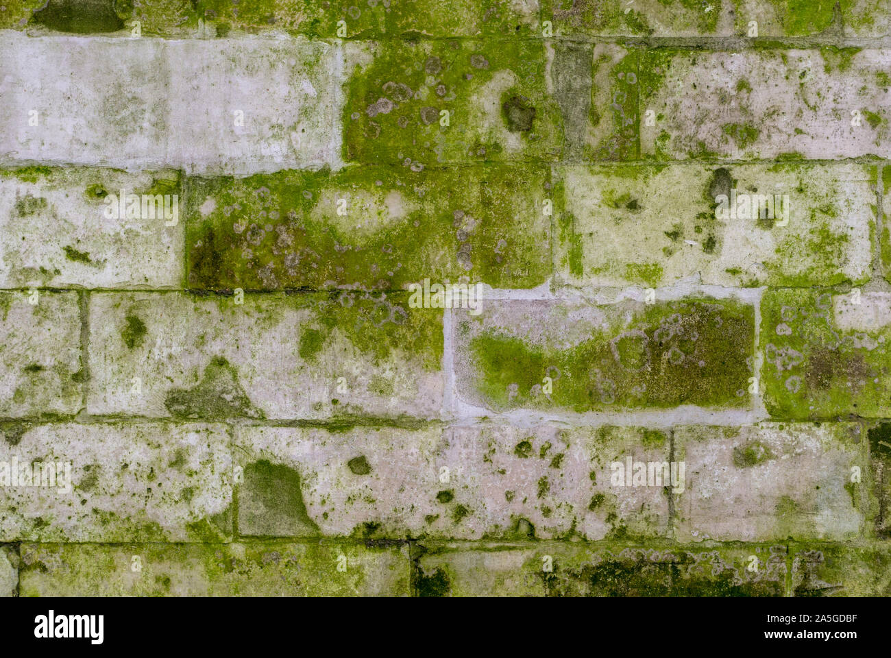 Mur de briques anciennes en pierre avec de la mousse et la moisissure — free download