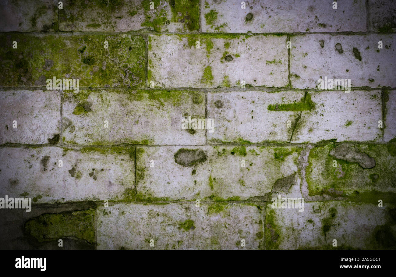 Mur de briques anciennes en pierre avec de la mousse et la moisissure verte texture avec