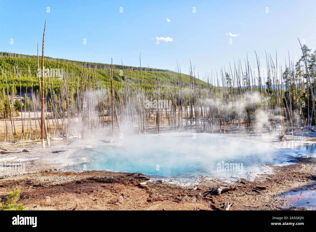 La vapeur chaude s'élève de citerne Le Printemps à Norris Geyser Basin dans le Parc National de Yellowstone, Wyoming, USA Banque D'Images