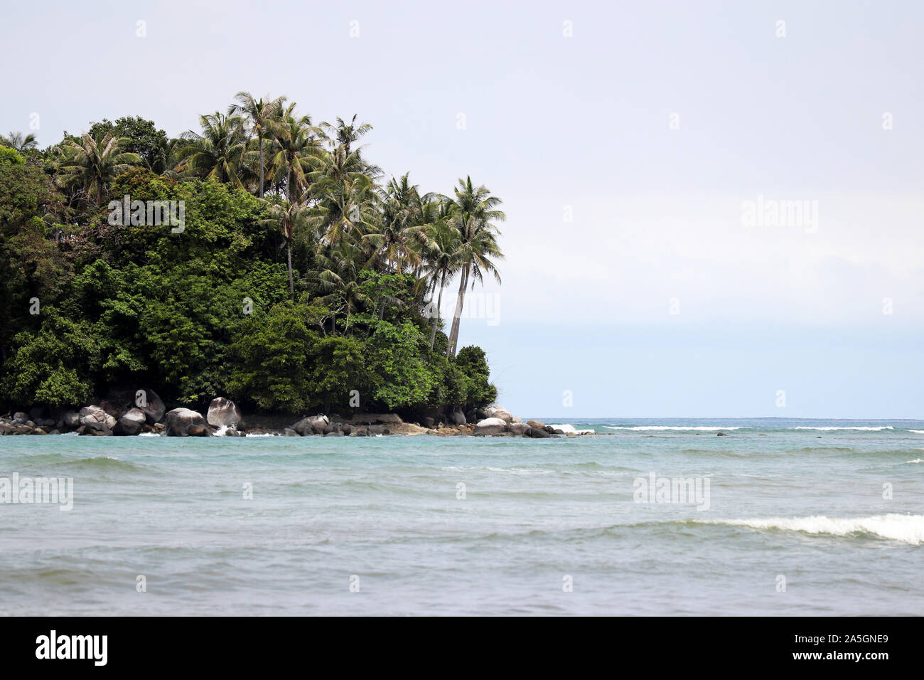 Île tropicale, vue sur la mer et le vert forêt avec des cocotiers. Paysage paradisiaque avec de l'eau bleu azur et de la côte rocheuse Banque D'Images