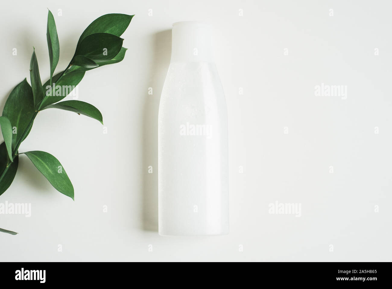 Une bouteille d'eau micellaire sur un fond blanc avec une branche de feuilles vert frais. Le concept de nettoyage de la peau, hydratant. Les produits cosmétiques naturels de l'extrait de fleur, de la beauté et de la mode Banque D'Images