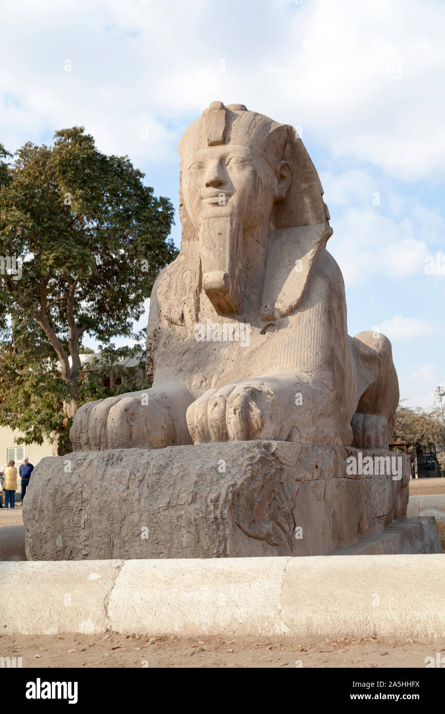 L'Égypte, Memphis, le Sphinx de Memphis dans le musée à Memphis. En date du 1200 av. Banque D'Images