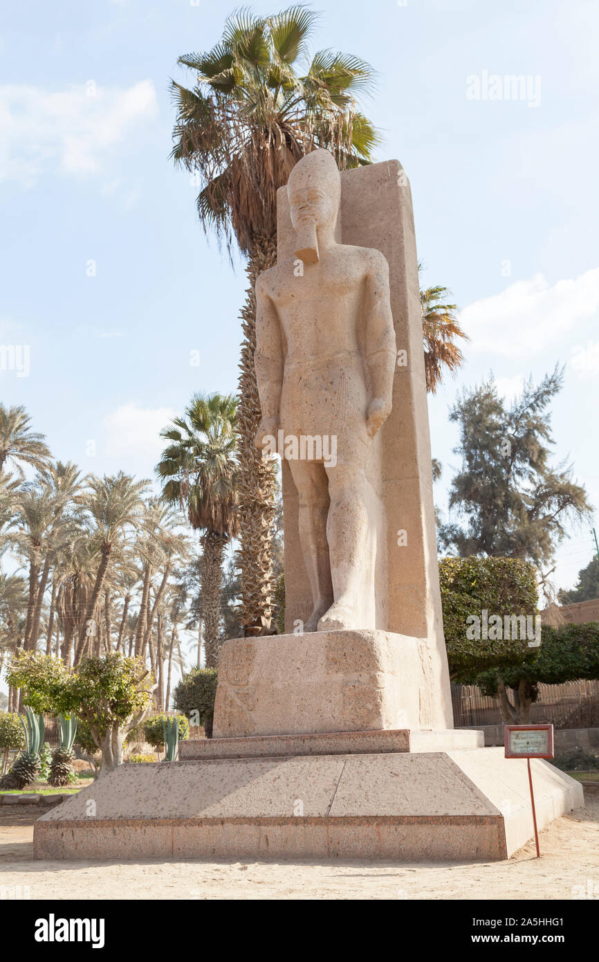L'Égypte, Memphis, la pierre de granit statue de Ramsès II au musée de à Memphis. Banque D'Images