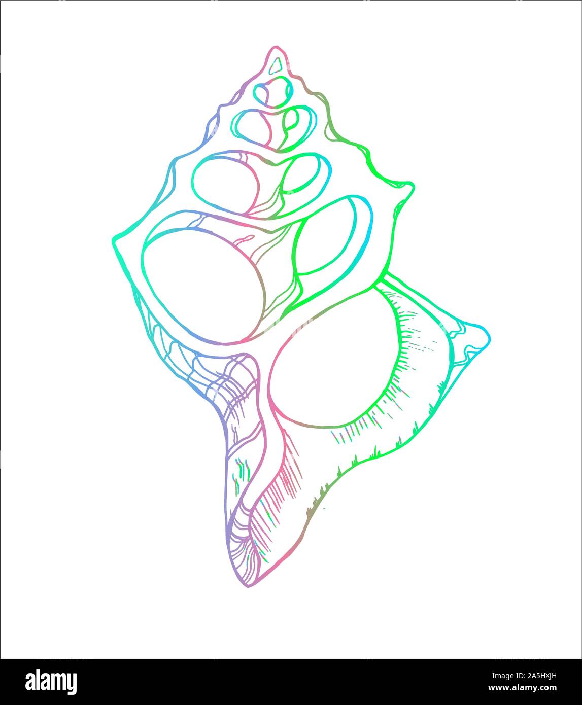 Illustration couleur d'un shell fractale dans une section Illustration de Vecteur