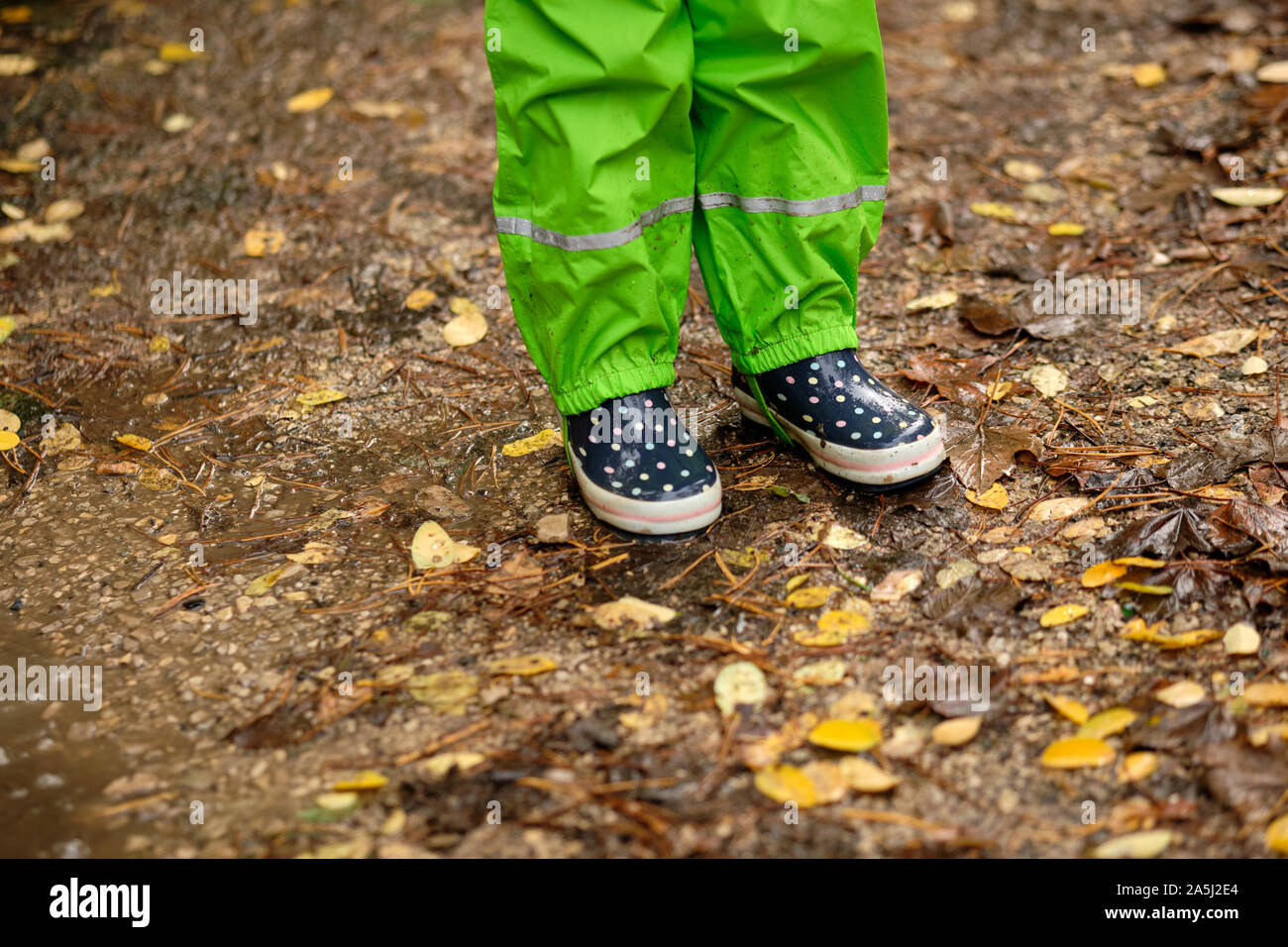 La section basse d'un enfant en vert pantalons imperméables et des bottes de caoutchouc debout sur un sol boueux dans la forêt avec des feuilles mortes en début d da Banque D'Images