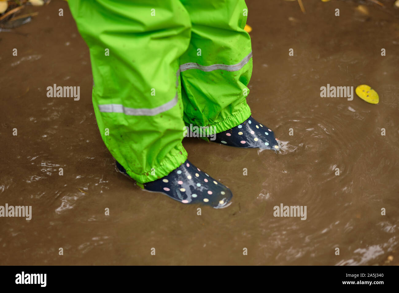 La section basse d'un enfant en vert pantalons imperméables et des bottes de caoutchouc debout dans une flaque de boue marron dans la forêt avec des feuilles mortes sous la pluie Banque D'Images