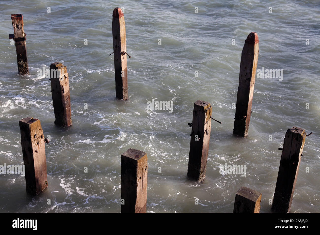 Plusieurs poteaux de bois en décomposition dépasser du lit de la mer, autrefois utilisée pour tenir jusqu'Hastings Pier, 2019 Banque D'Images