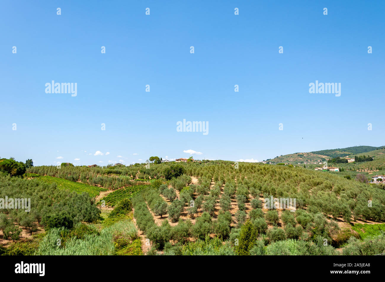 Vinci en Toscane, Italie, berceau de l 'Leonardo Da Vinci'. Les collines qui entourent le village, l'on croit être l'arrière-plan de la 'La Joconde'. Banque D'Images