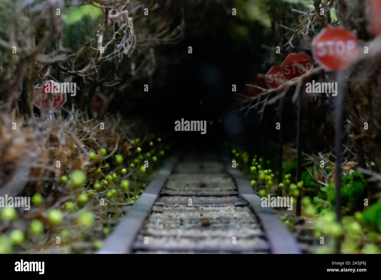Sombre effrayant floue fond cuisse. Décor pour Halloween. Le chemin de fer va dans le sombre, sec des branches d'arbre et un panneau d'arrêt. Banque D'Images