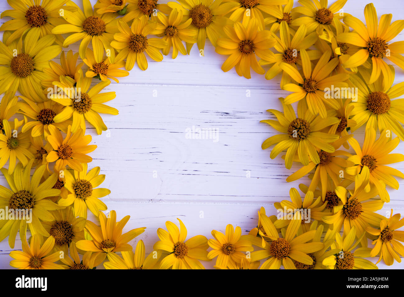 Fleurs jaunes sur un fond clair en bois. L'air d'une trame de fleurs jaunes Banque D'Images