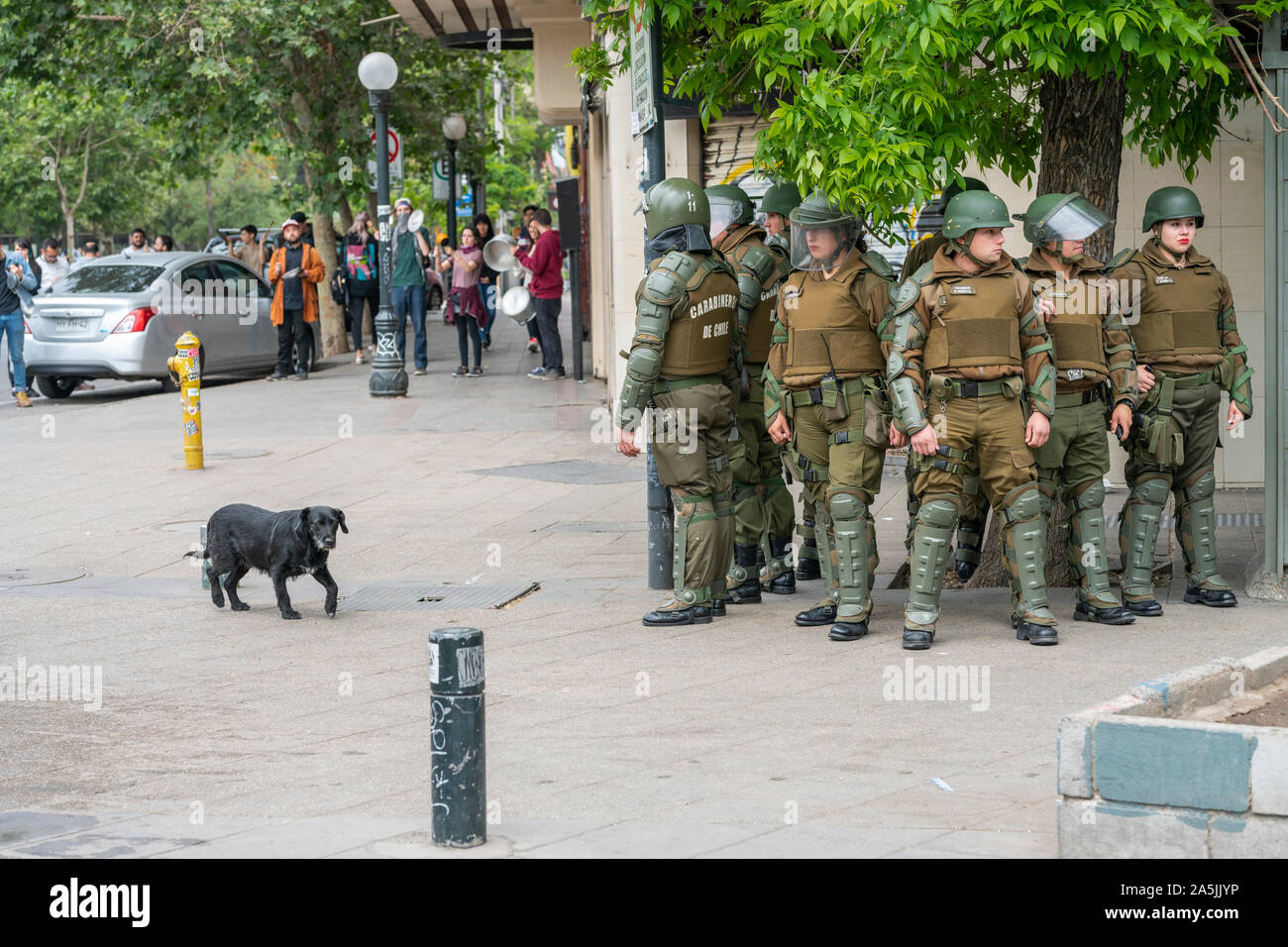 Un chien indifférent qui traverse les affrontements entre la police et les manifestants dans les rues de Santiago lors des dernières émeutes à Santiago du Chili Banque D'Images