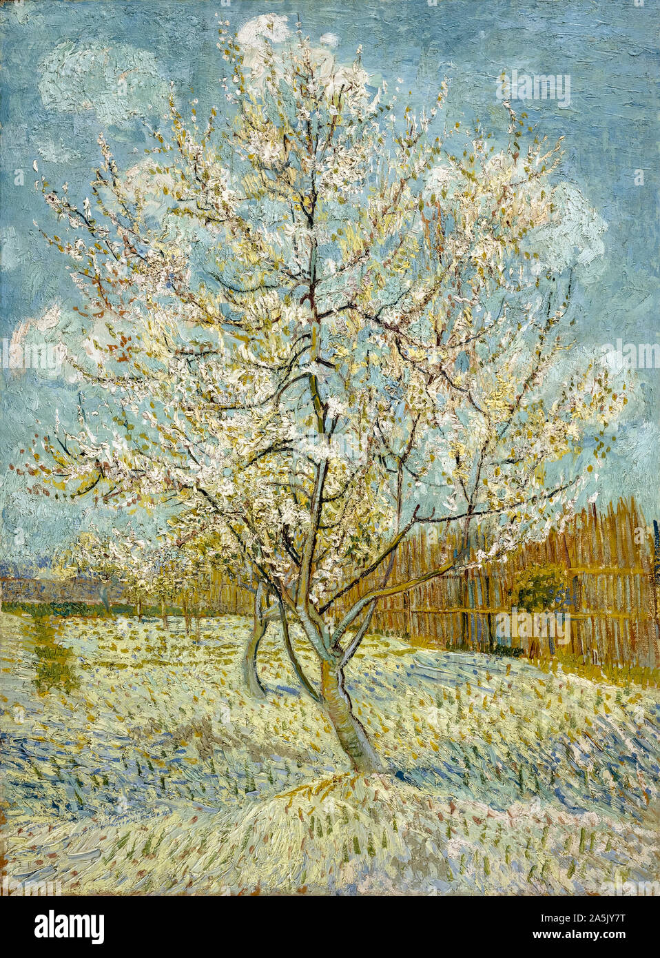 Vincent van Gogh, l'arbre rose pêche, peinture, 1888 Banque D'Images