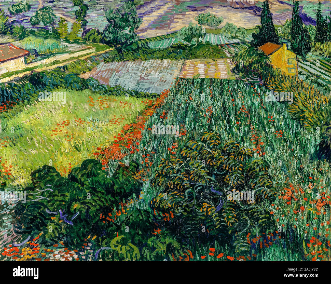 van gogh coquelicots