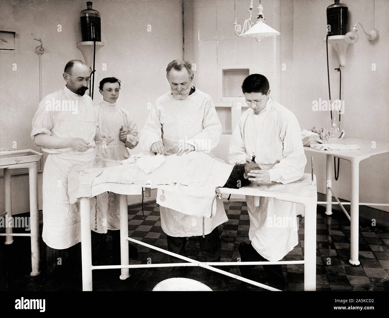 Le Dr Ivan Pavlov (troisième à partir de la gauche), opérant sur un chien dans la physiologie, Département de médecine expérimentale de l'Institut impérial de Saint-Pétersbourg, Russie, vers 1902. Ivan Petrovitch Pavlov, 1849 -1936. Physiologiste russe, Prix Nobel, connu pour son travail dans le conditionnement classique. Banque D'Images