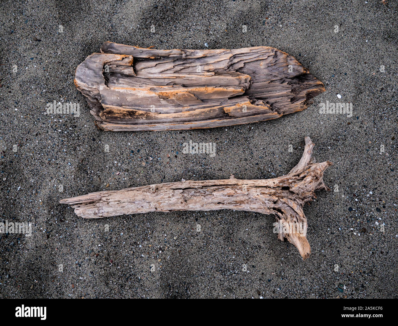 Deux morceaux de bois flotté dans le sable sur la plage à Mendocino, Ca Banque D'Images