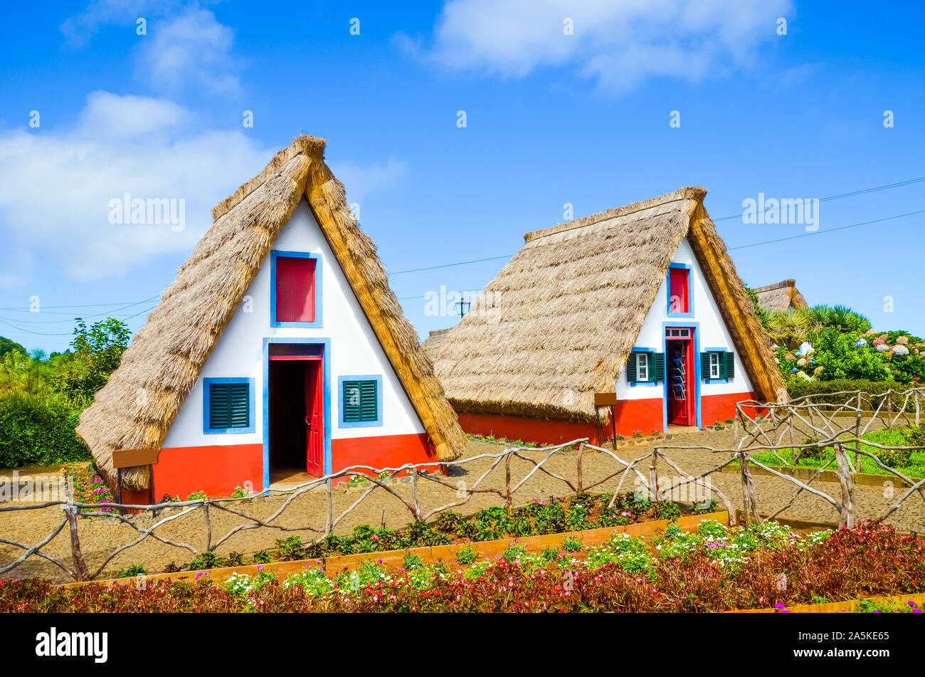 Maisons colorées traditionnelles dans la région de Santana, Madère, Portugal. Les petites maisons en bois, triangulaire, avec toit de chaume constituent une partie du patrimoine de l'île portugaise. Jardin de fleurs en premier plan. Banque D'Images