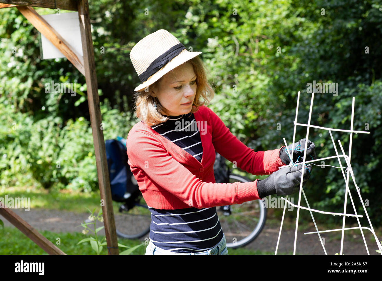 Mid adult woman lier trellis dans son jardin Banque D'Images