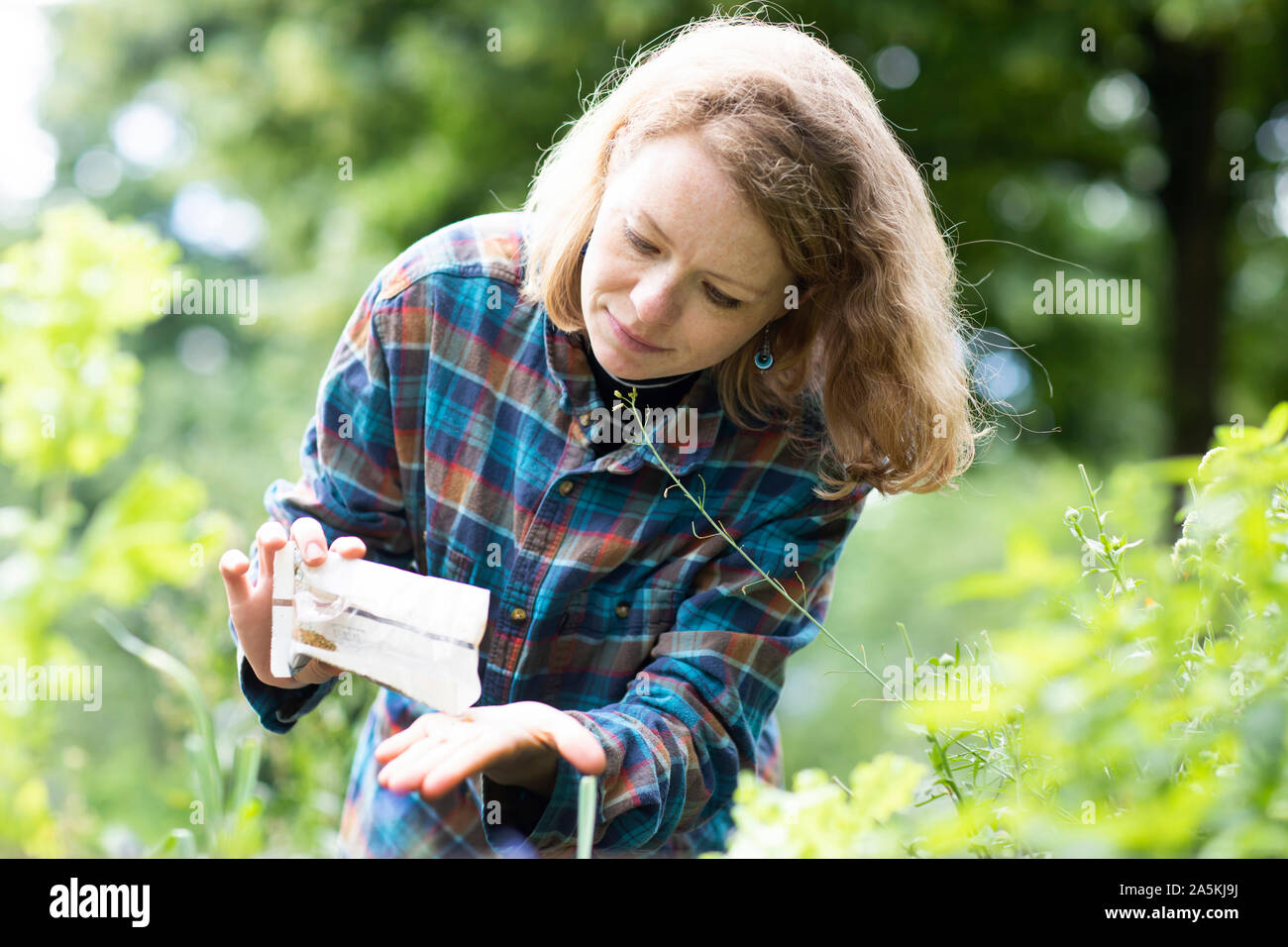 Mid adult woman la sélection des semences à planter dans son jardin Banque D'Images