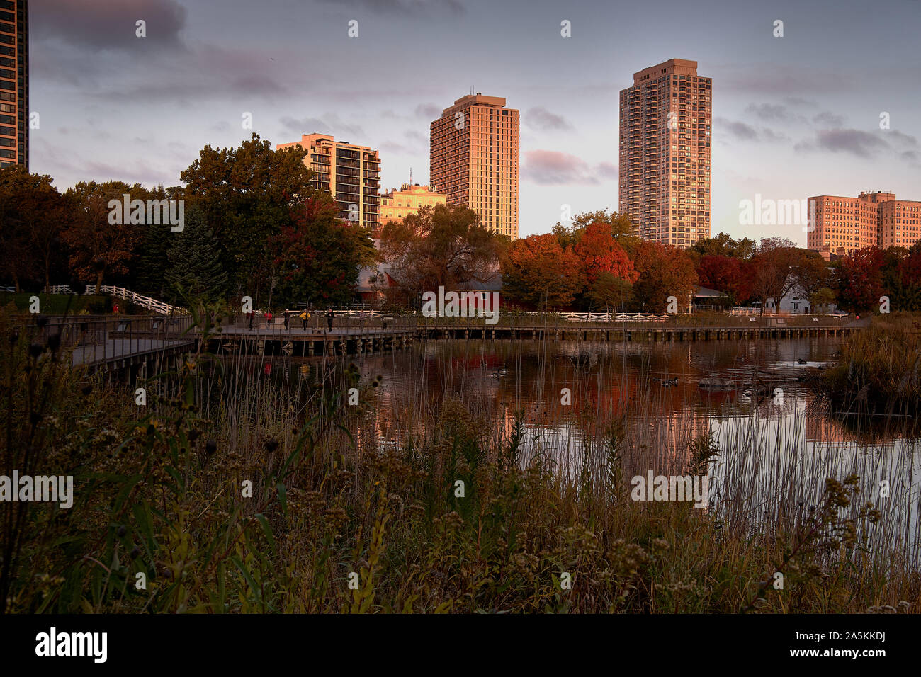 Chicago lakefront, couleurs d'automne Banque D'Images