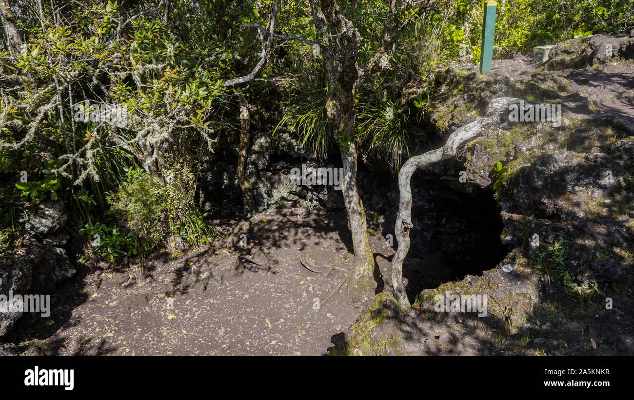 L'Île Rangitoto (Scenic Reserve) à proximité de Auckland, en Nouvelle Zélande Banque D'Images