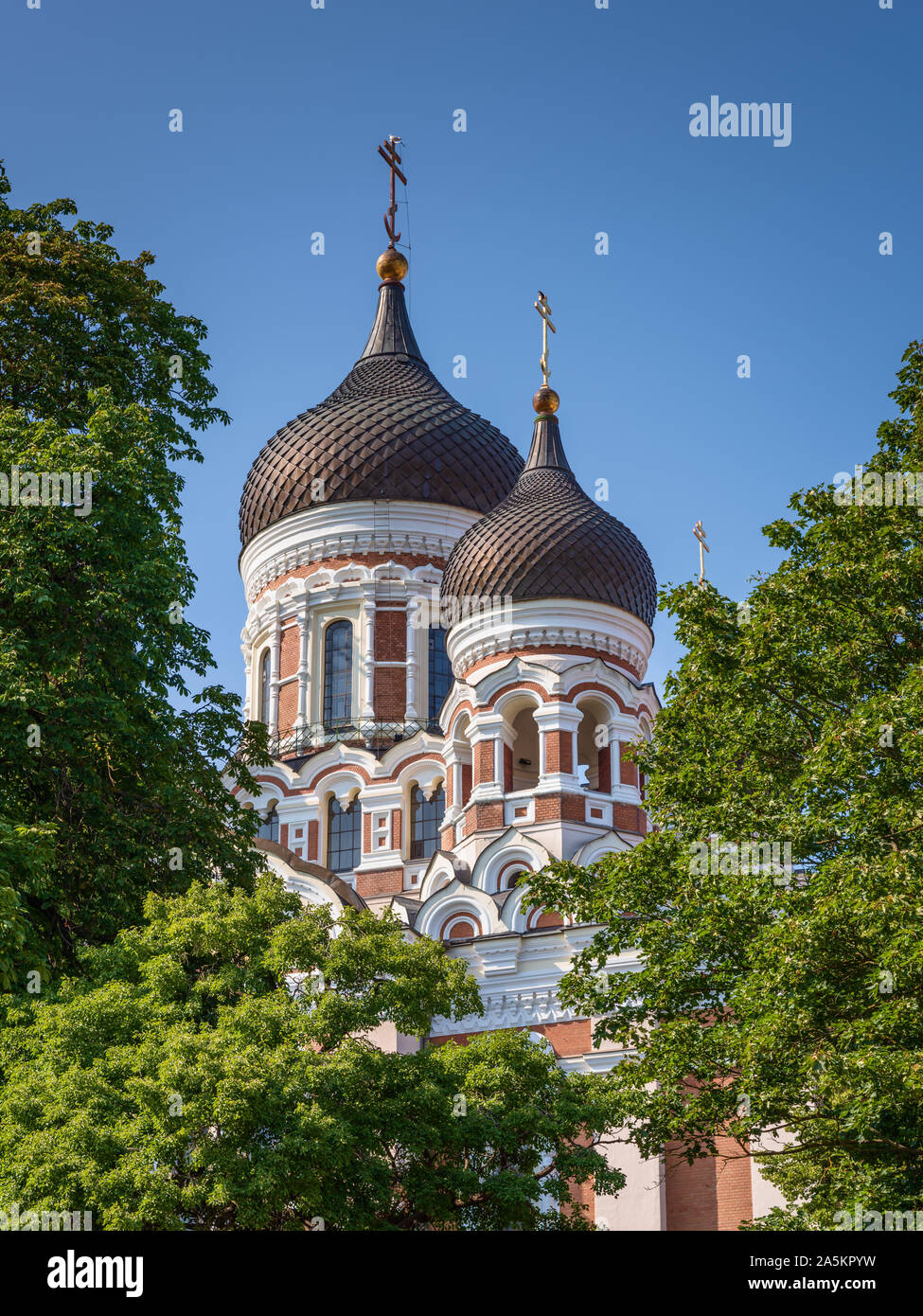 La cathédrale Alexandre Nevsky, Tallinn, Estonie Banque D'Images
