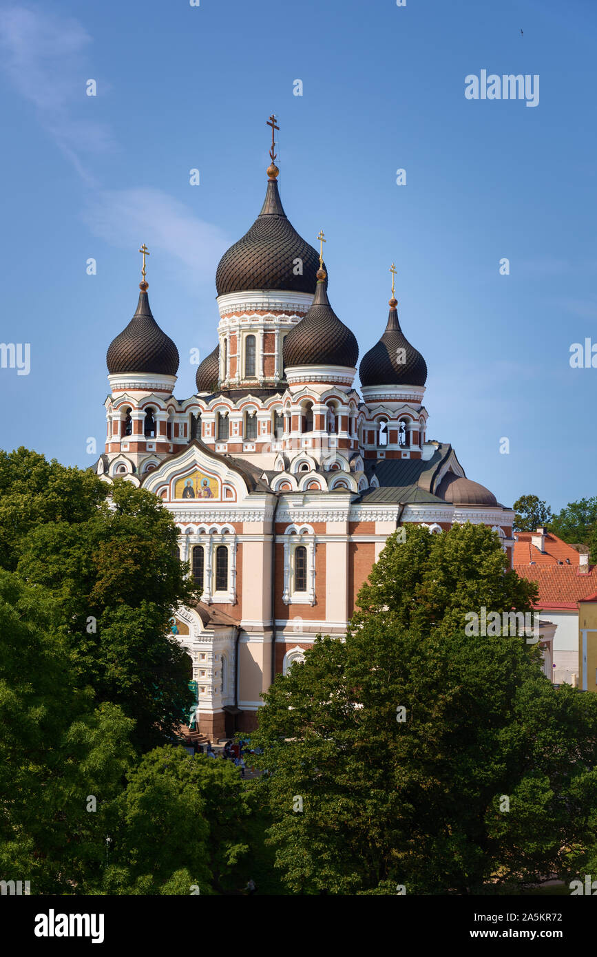 La cathédrale Alexandre Nevsky, Tallinn, Estonie Banque D'Images