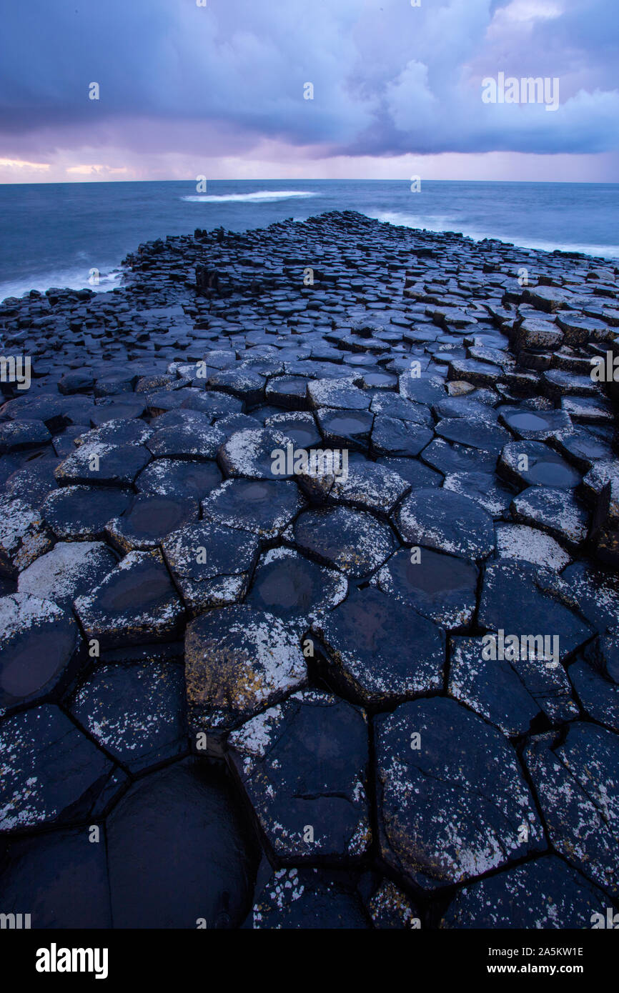 Giant's Causeway, colonnes de basalte colonnaire, résultat d'une ancienne fissure volcanique éruption, l'Irlande du Nord, Royaume-Uni, site du patrimoine mondial Banque D'Images