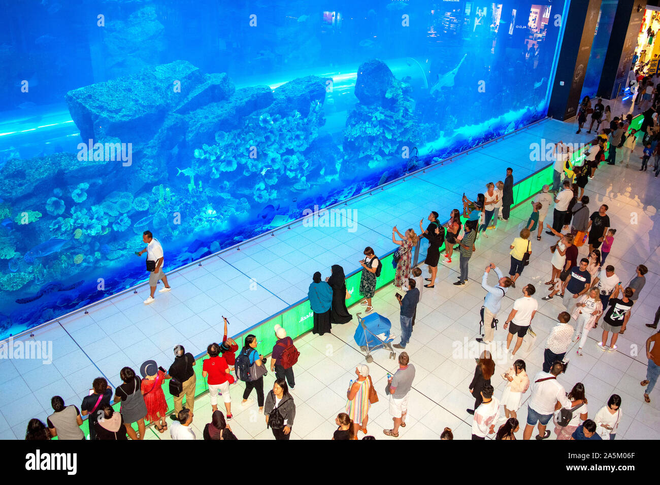 Dubaï / Emirats Arabes Unis - le 19 octobre 2019 : immense aquarium à Dubaï Mall avec foule de touristes. Le plus grand centre commercial au monde. Aquarium. Banque D'Images