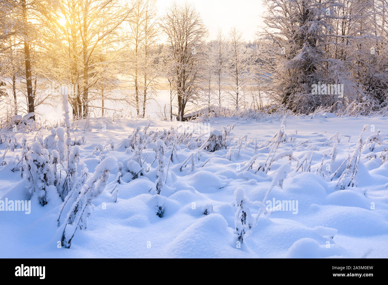 Paysage d'hiver le long des rives couvertes de neige, la rivière qui coule à travers Pielisjoki se trouve paysage d'hiver Banque D'Images