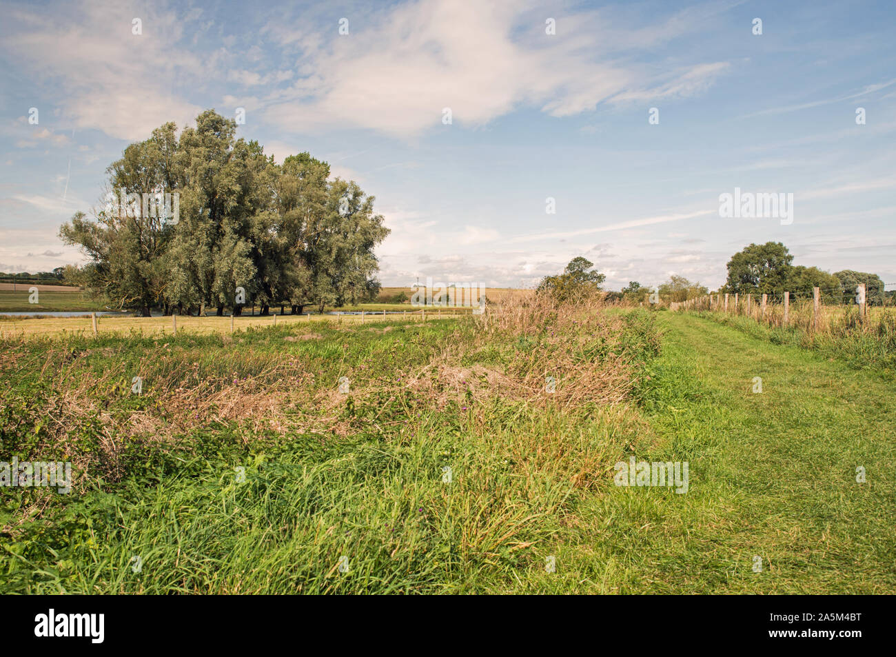 Titchmarsh Nature Reserve Northamptonshire Banque D'Images