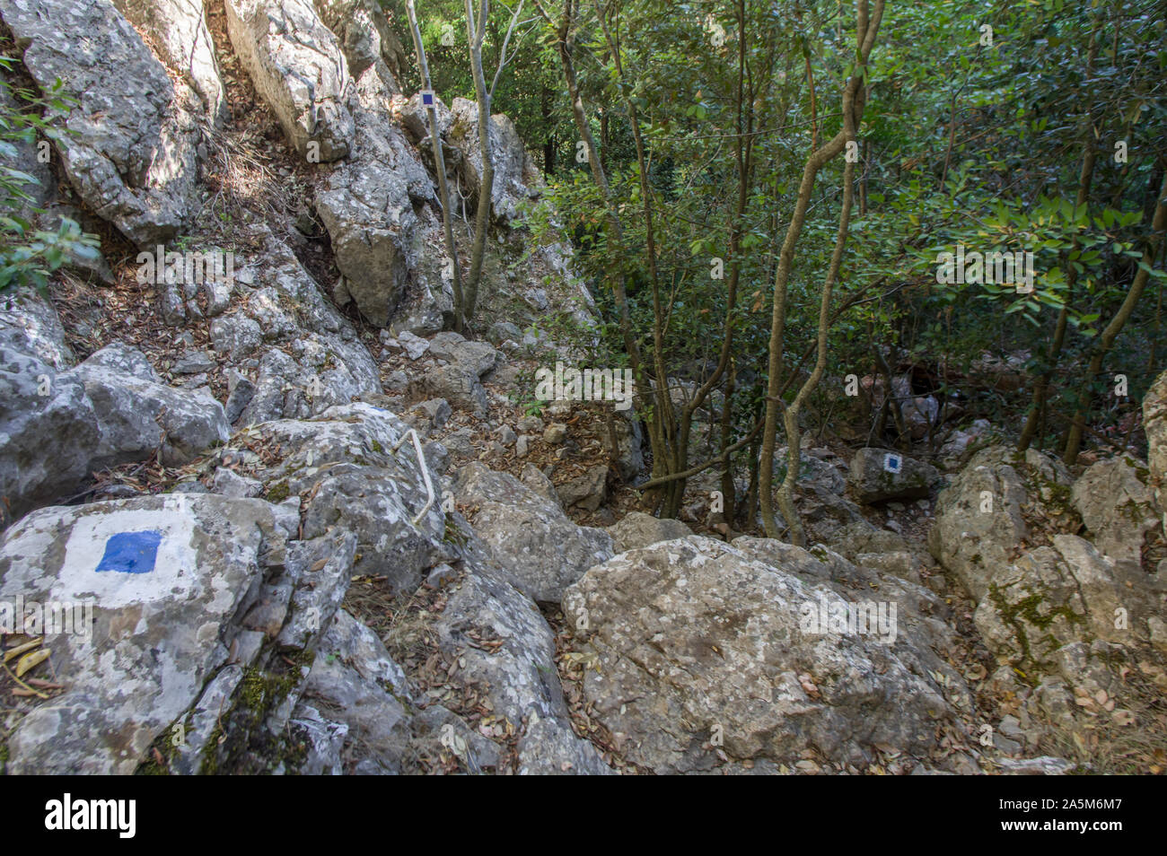 Chemin de randonnée sur Parnitha Mountain près d'Athènes, Attique, Grèce au moyen de la grotte de Pan Banque D'Images