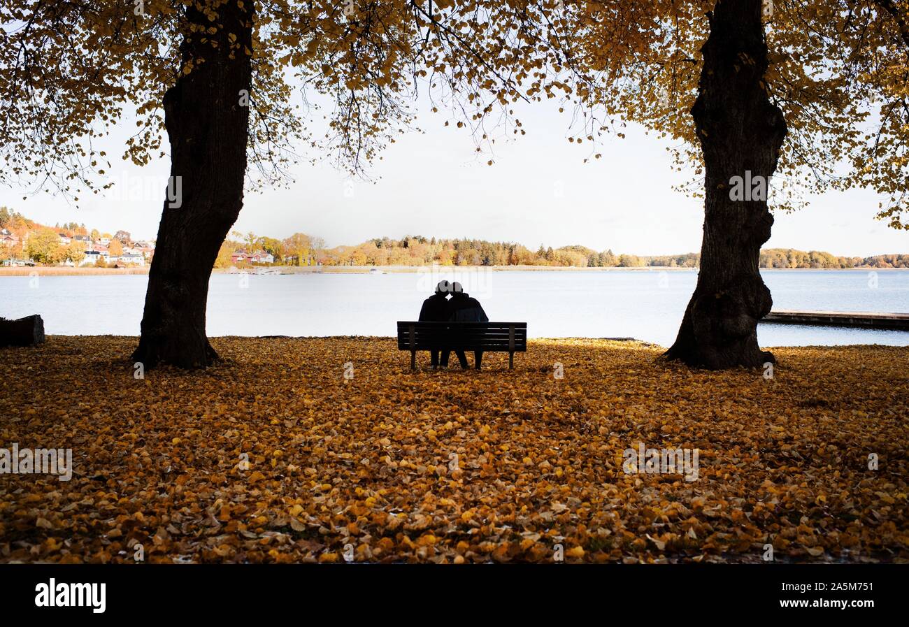 Couple assis sur un banc entouré de feuilles d'automne profiter de paysages Banque D'Images