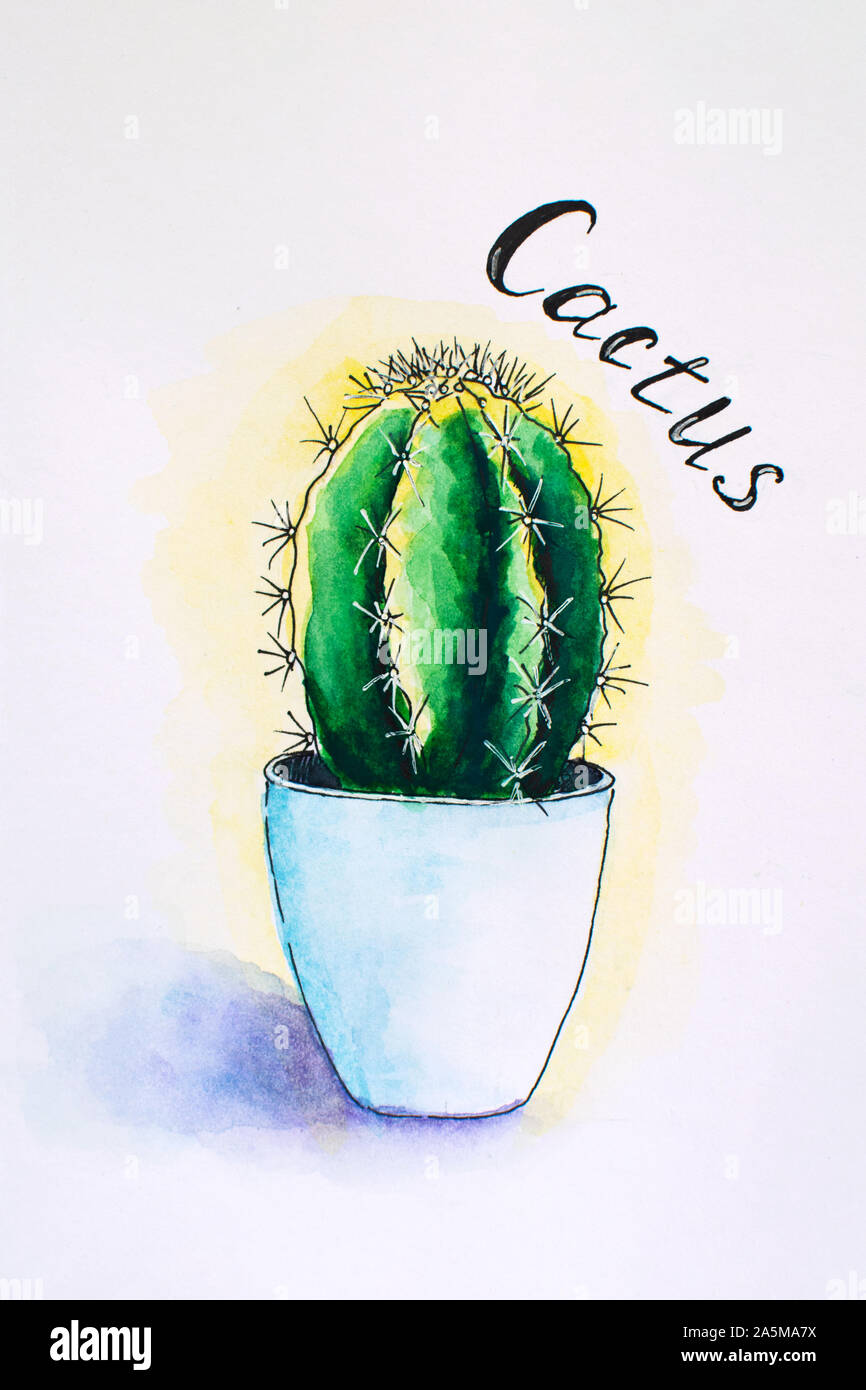 Peint à l'aquarelle en succulent pot. Cactus dessiné à la main. Aquarelle, illustration. Banque D'Images