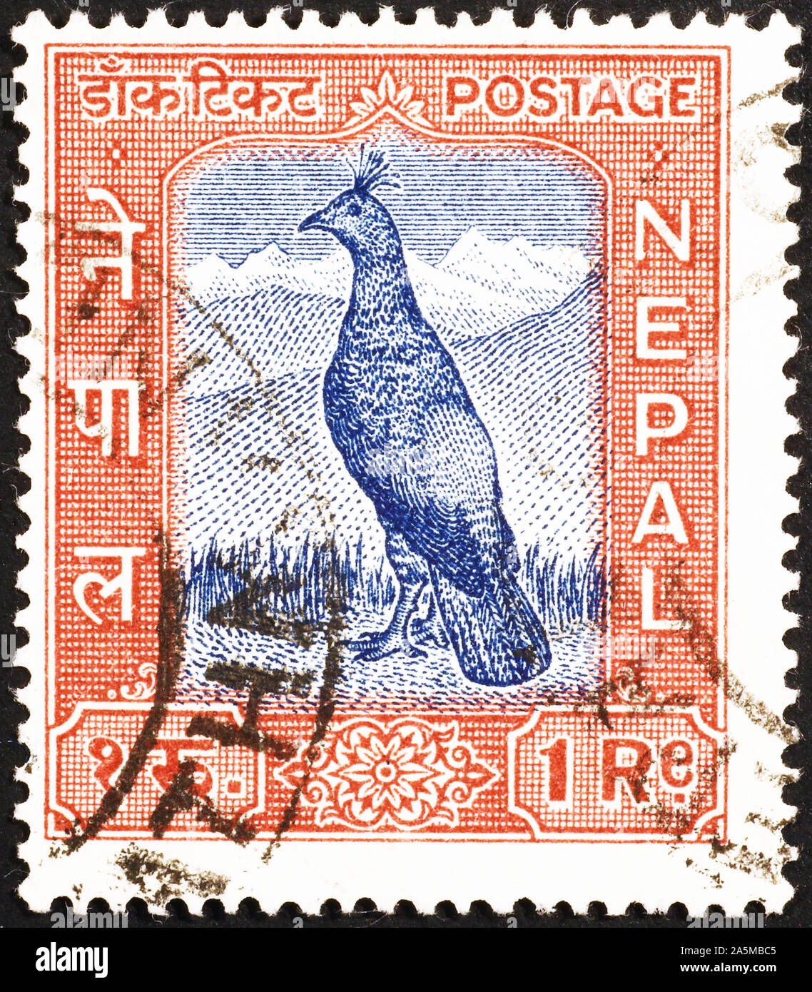 Sur les vieux oiseaux népalais stamp Banque D'Images