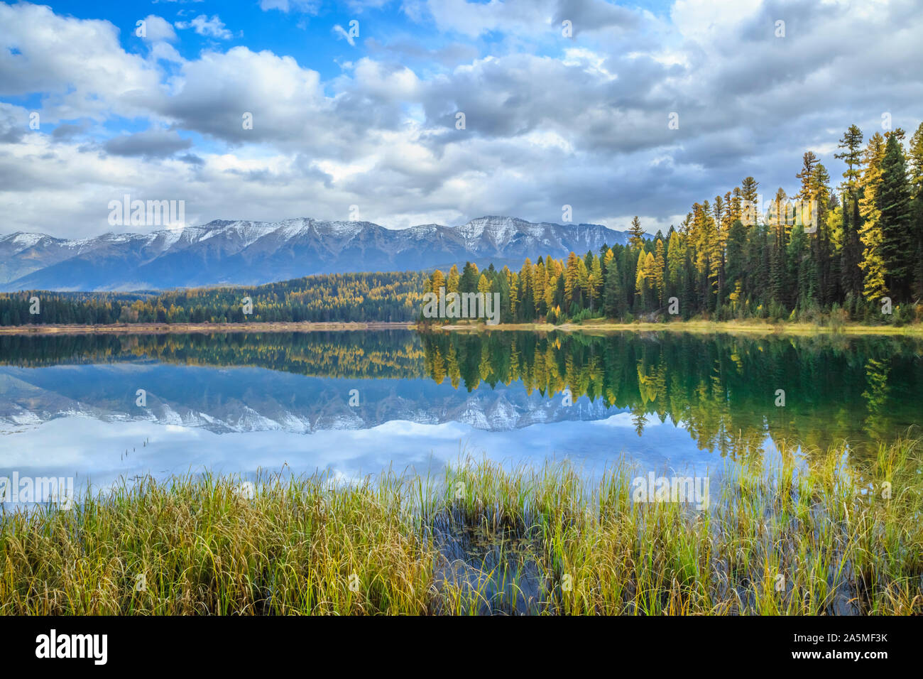 Le mélèze dans la couleur de l'automne le long de Rainy Lake au-dessous de la gamme swan dans l'ouest du Montana Banque D'Images